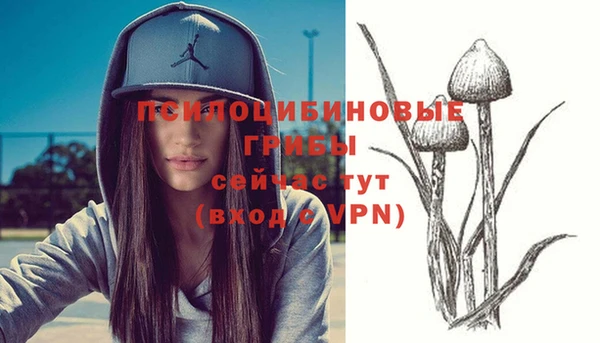 PSILOCYBIN Бугульма